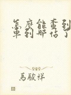 怎么能查到公交车到哪站了