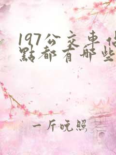 197公交车站点都有哪些