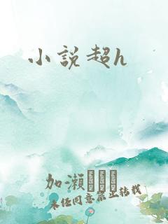 小说超h
