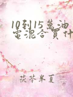 10到15万油电混合买什么车好