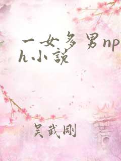 一女多男np高h小说