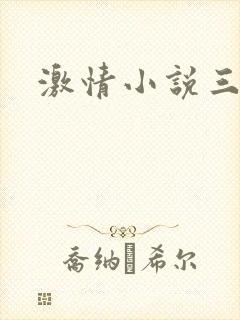 激情小说三级 激情小说三级