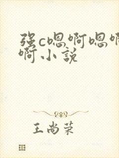 强c嗯啊嗯啊嗯啊小说