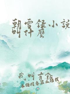 朝雪录小说原著叫什么