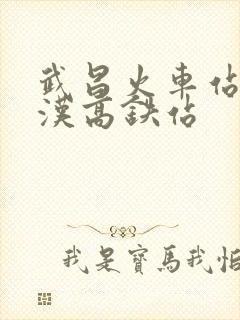 武昌火车站到武汉高铁站