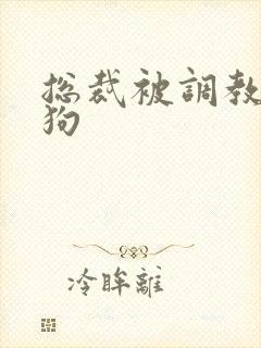总裁被调教成母狗