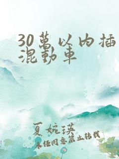 30万以内插电混动车