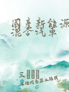 国产新能源油电混合汽车