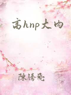高hnp大肉