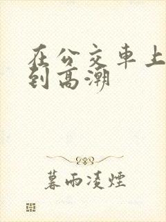 在公交车上被奸到高潮