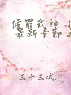 修罗武神 小说 最新章节 无弹窗