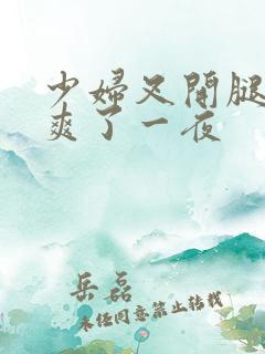 少妇叉开腿让我爽了一夜