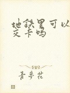 地铁里可以充公交卡吗