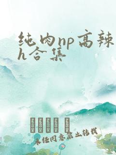 纯肉np高辣文h合集