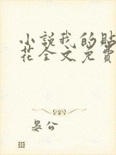 小说我的贴身校花全文免费阅读
