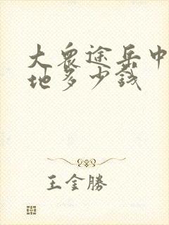 大众途岳中配落地多少钱
