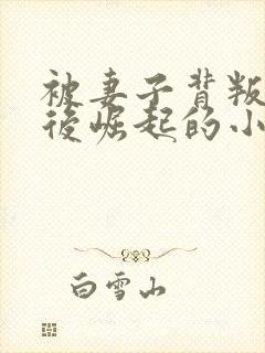 被妻子背叛离婚后崛起的小说