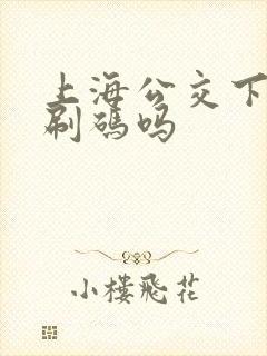 上海公交下车要刷码吗