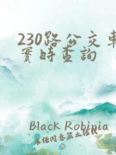 230路公交车实时查询 230路公交车实时查询