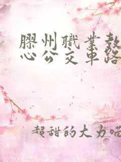 胶州职业教育中心公交车路线