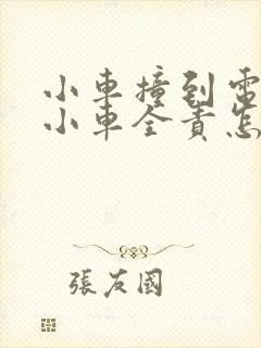 小车撞到电动车小车全责怎样理赔