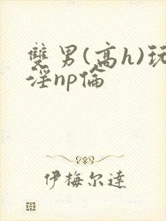 双男(高h)玩淫np伦