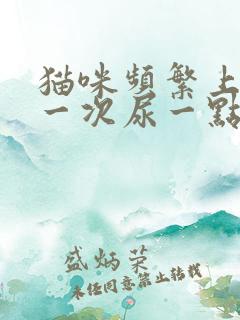猫咪频繁上厕所一次尿一点