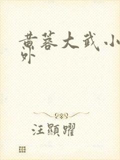 黄蓉大武小武番外