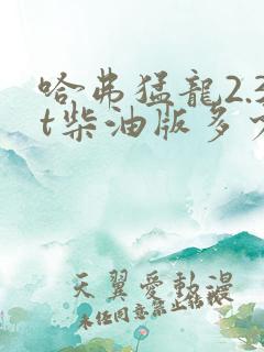 哈弗猛龙2.3t柴油版多少钱一辆