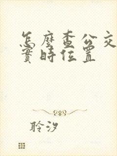 怎么查公交车的实时位置