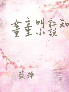 女主叫许知夏的重生小说 女主叫许知夏的重生小说