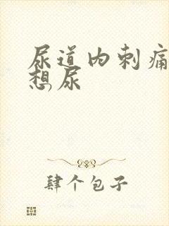尿道内刺痛一直想尿