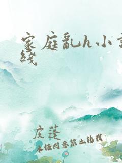 家庭乱h小说在线