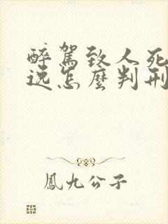 醉驾致人死亡逃逸怎么判刑