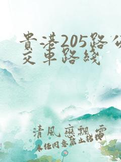 贵港205路公交车路线