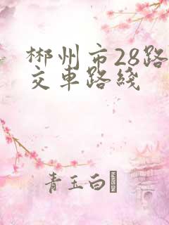 郴州市28路公交车路线