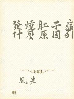 发烧肚子痛想吐什么原因引起的