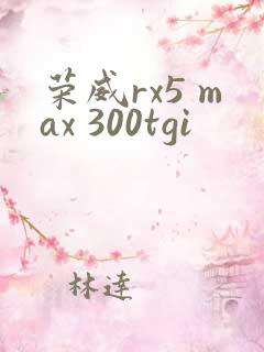 荣威rx5 max 300tgi