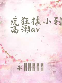 疯狂揉小到失禁高潮av