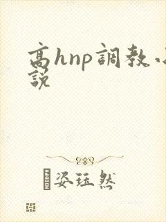 高hnp调教小说