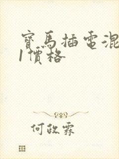宝马插电混动x1价格 宝马插电混动x1价格