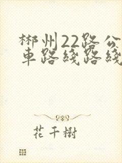 郴州22路公交车路线路线