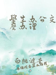 学生办公交卡怎么办理 学生办公交卡怎么办理
