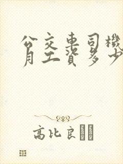 公交车司机一个月工资多少