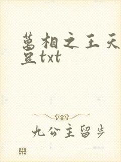 万相之王天蚕土豆txt