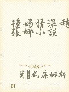 后妈情深赵颖莉张娜小说
