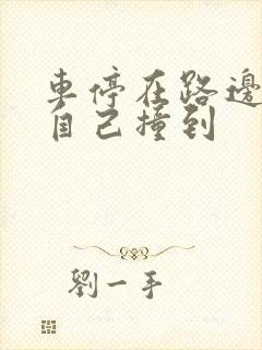 车停在路边小孩自己撞到