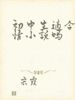初中生适合看言情小说吗