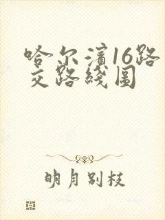 哈尔滨16路公交路线图