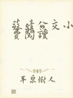 苏晴公交小说免费阅读 苏晴公交小说免费阅读